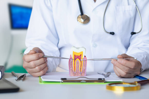 Best Urgent Dental Care for Toothache in Lake Pocotopaug, CT